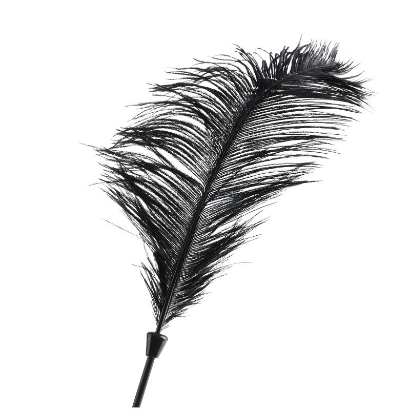 Pluma Pipedream Love