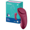 Vibrador APP Control Estimulador Recargable Satisfyer Panty Sexy Secret