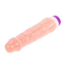 Vibrador De Pilas Fantasy