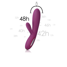Vibrador Doble Estimulación Recargable Svakom Lucas
