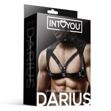 Arnés Ajustable Masculino BDSM Line Darius