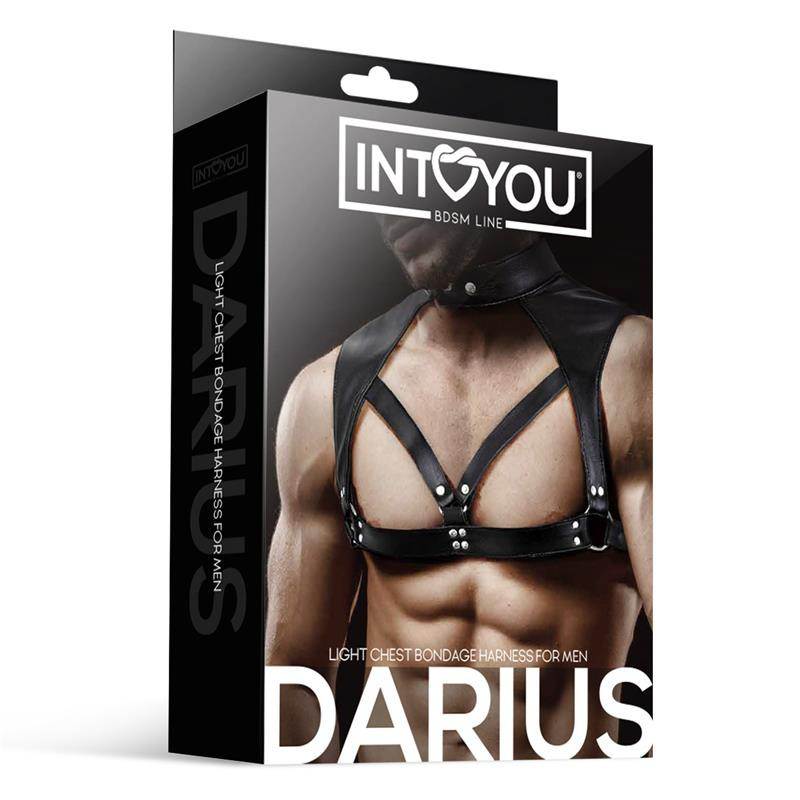 Arnés Ajustable Masculino BDSM Line Darius