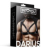 Arnés Ajustable Masculino BDSM Line Darius