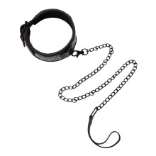 Collar Y Correa BTB Negro
