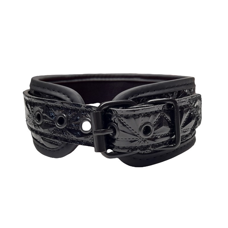 Collar Y Correa BTB Negro