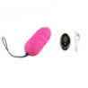 Control Remoto Huevo De Pilas Ocean Dream Egg Vibrator Mando Recargable Adrien Lastic