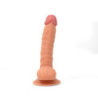 Dildo Realístico Con Ventosa Candy Lust 22 cm + Lubricante 20 ml