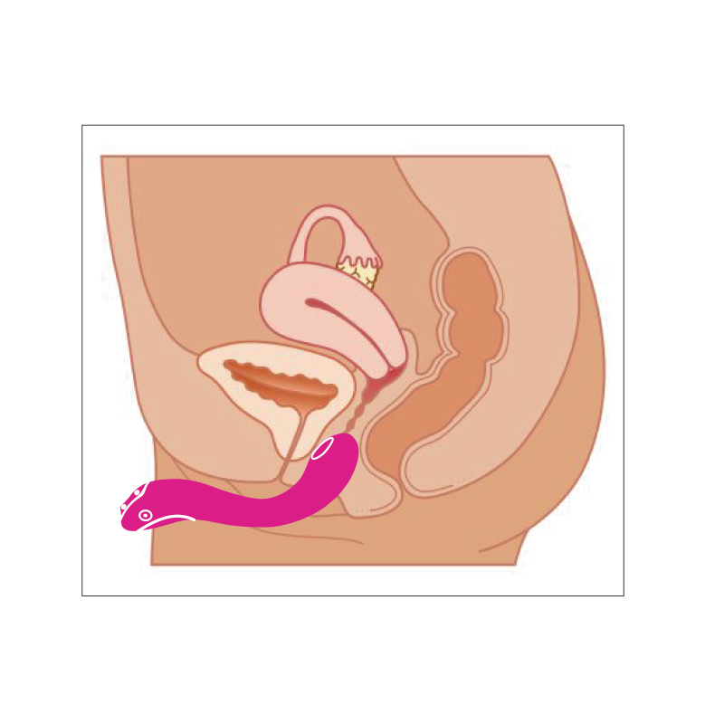 Estimulador Recargable Vibrador App Control Osci By Lovense