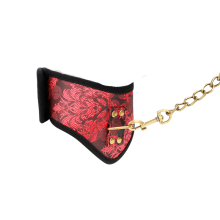 Collar y Correa Scandal Kink