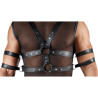 Camiseta Harness 2161885