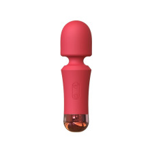 Masajeador Recargable Mini Crushious Wanda