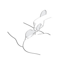 Masajeador Shunga Zoa Frambuesa