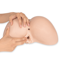 Masturbador Realístico 3D Culo y Vagina Daphne Silexd